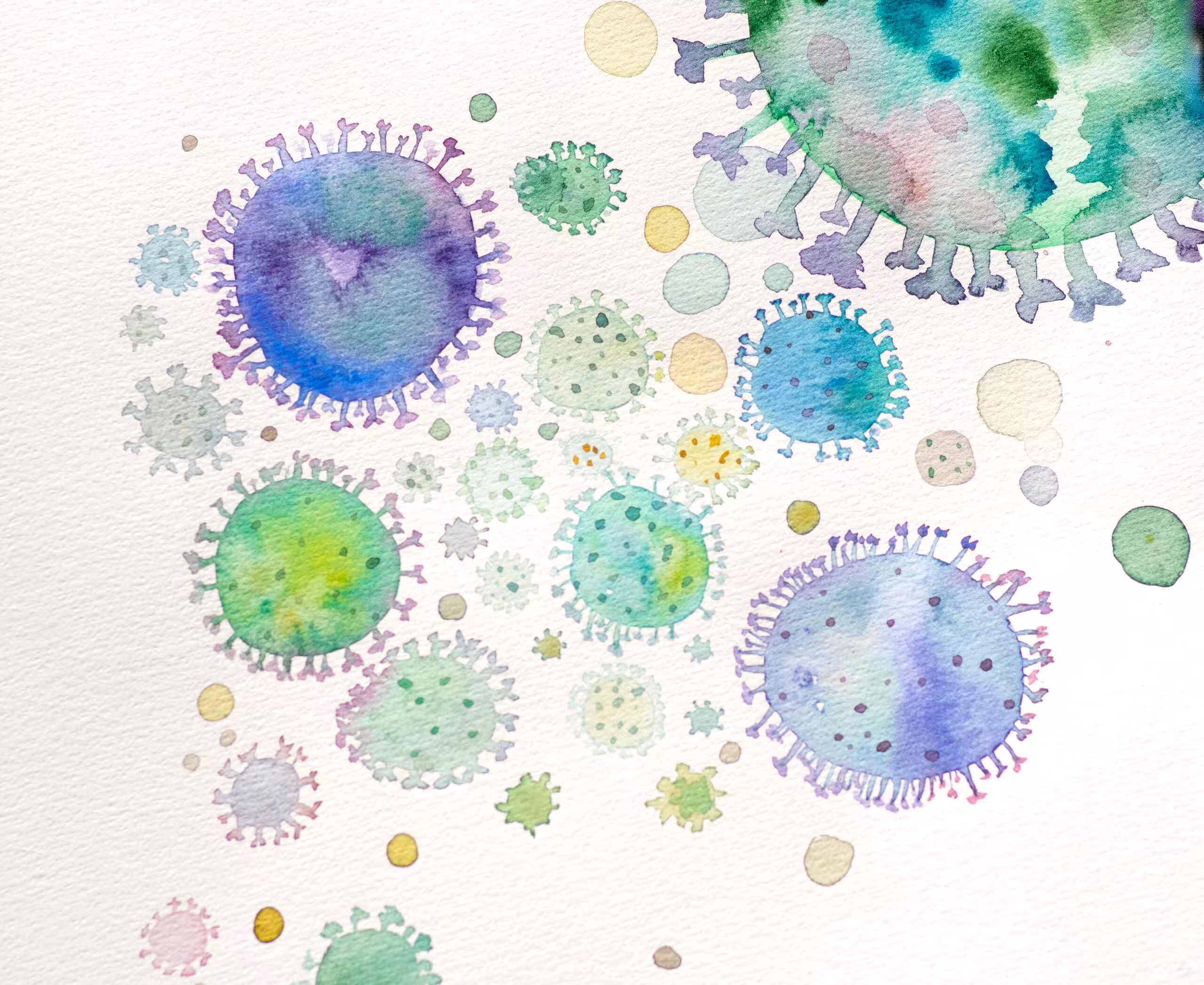 painting of a close up of bacteria and microorganisms